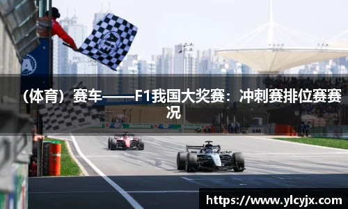 （体育）赛车——F1我国大奖赛：冲刺赛排位赛赛况
